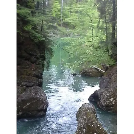 Rosi Denz Fischen im Allgaeu