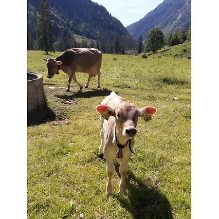 Appartement Rosi Denz Fischen im Allgaeu
