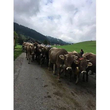 Rosi Denz Appartement