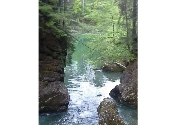 Rosi Denz Fischen im Allgaeu