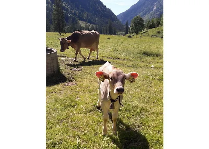 Apartament Rosi Denz Fischen im Allgaeu