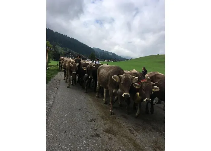 Rosi Denz Apartament